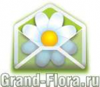 Логотип компании Доставка цветов Гранд Флора (ф-л г.Зеленокумск)